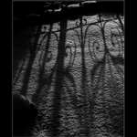 Strážci posledního odpočinku