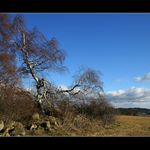 Z Mladotického vrchu ...