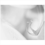 Had vyhání Evu z ráje...