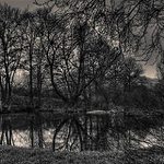 Můj rybníček z dětství