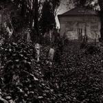 Starý židovský hřbitov