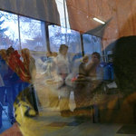 Kočky bděte! Lidi vás fotí.