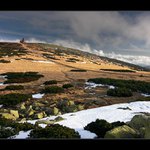 Podzimní hřebenovka