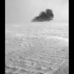 Toulky zimní krajinou