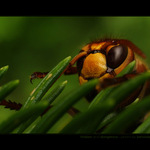 ...hidden and dangerous...