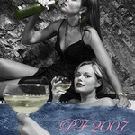PF 2007