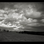 ...louky Bílých Karpat II...