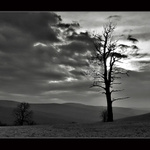 ...čekání na déšť...