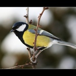 Ze včerejší procházky