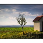 Kaplička