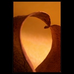 ...srdcová záležitosť...