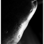 ~intimita hrušky l~