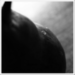 ~intimita hrušky ll~