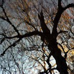 Plamenné  blues o tvých vlasech