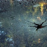 kříšení padlého anjela dle J.R.L.Hollywaye