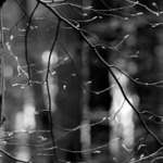 100% (z)jištěný provazochodec