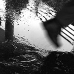 pádím, pílím, kvapím, kvačím