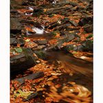 Podzimní nálada 2006