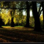 podzimní procházka