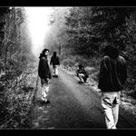 |autoportret z cesty