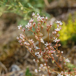 Když bylo ještě teplo