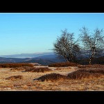 Pokroucené klimatem