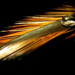 pořád prší.......