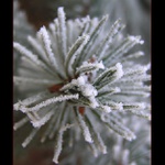 Milióny vloček mrazem vězněné