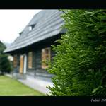 Orava-Jedna z mnohych...