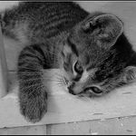 Po náročném dni, chvíle klidu..