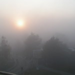 Pohľad do šedivého rána . ..