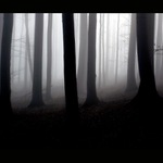 aka je tvoja buducnost?