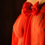 Průhledná košilka