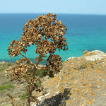 Vzpomínka na horké léto