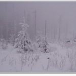 Bíla tma na Lysé I.