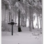 Bíla tma na Lysé II. s křížkem