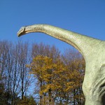 Brachiosaurus