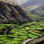 Cesta k jezeru Pangong