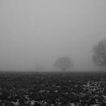 Villy Fog