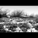 Cestou na vtáčnik 2