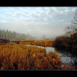 Svinenský potok III