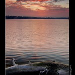 Na Hlohoveckém rybníku