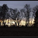 Probouzeni ze zimního spánku...