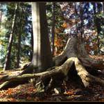 Smrt nás nerozdělí