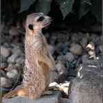 Andělíčku, můj strážníčku.....