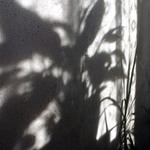 shadows