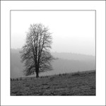 Samotář z Vysočiny