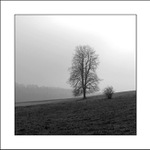 Sousedé z Vysočiny