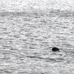 jezero Loch Ness