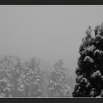 Smutna zasnezena krajina